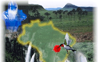 Chapada dos Veadeiros